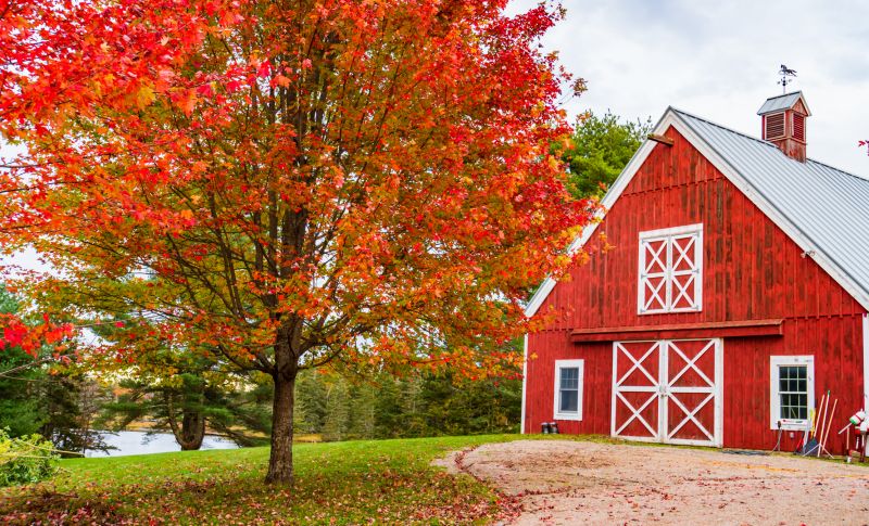 Indianapolis Barn Repair