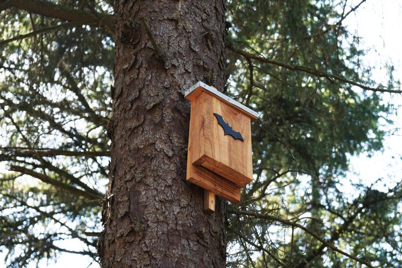 Indianapolis Bat House Installation