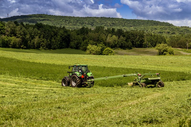 Indianapolis Brush Hog Service