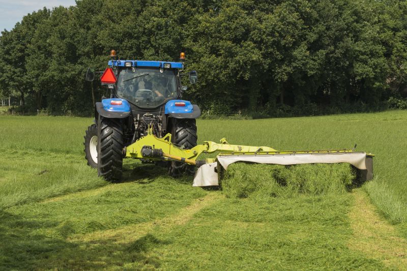 Naples Brush Hogging