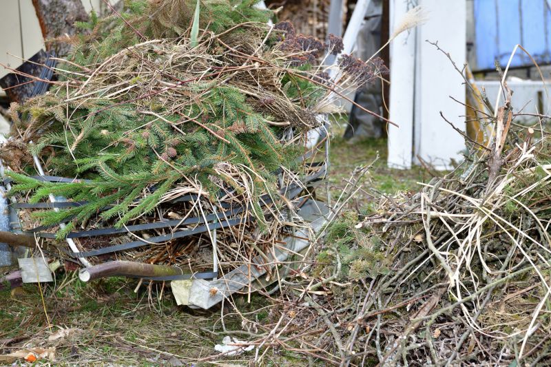 Indianapolis Brush Pick Up Service