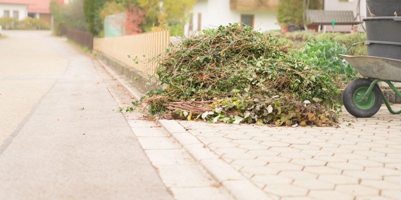 Marietta Brush Removal