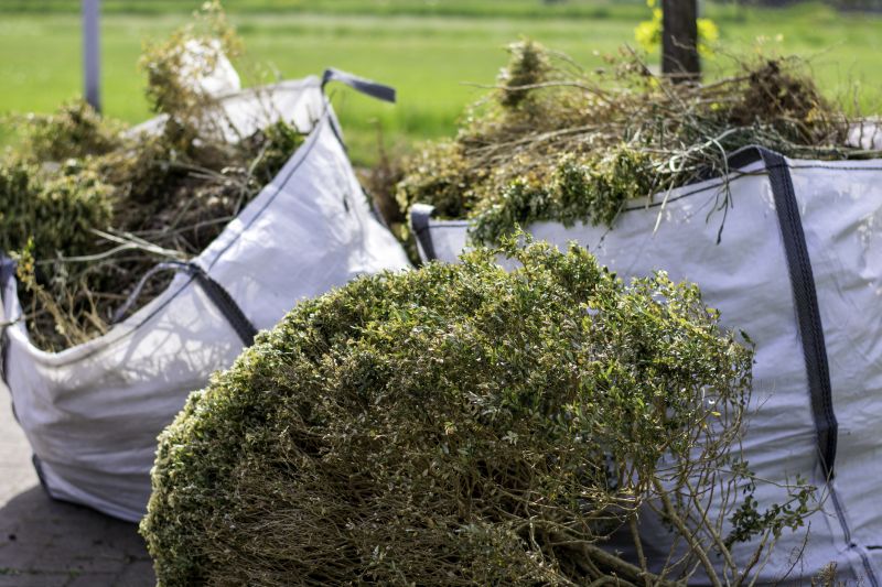 Indianapolis Bush Removal Service