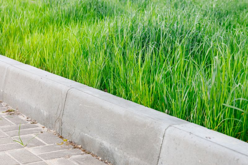 Concrete Curb Installation - Indianapolis