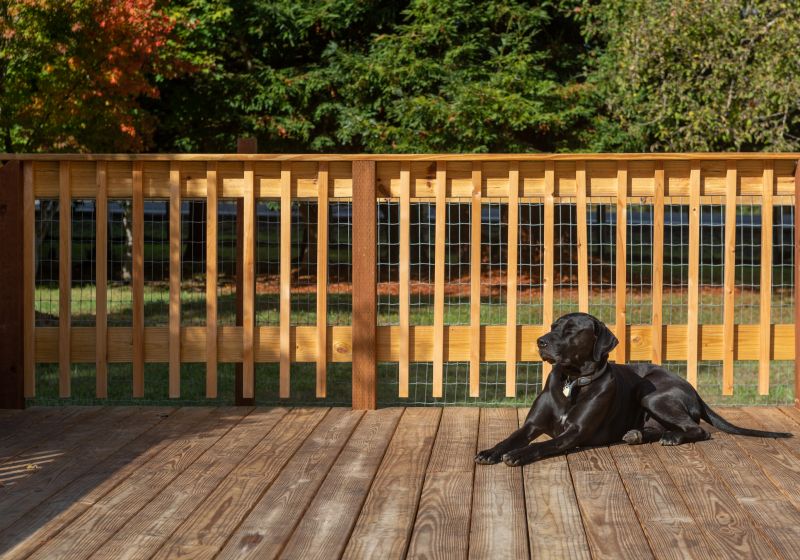 Marietta Dog Fence Installation