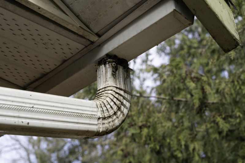 Indianapolis Downspout Cleaning