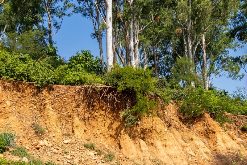 Indianapolis Erosion Service
