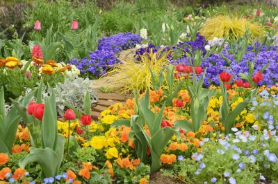 Atlanta Garden Renovation