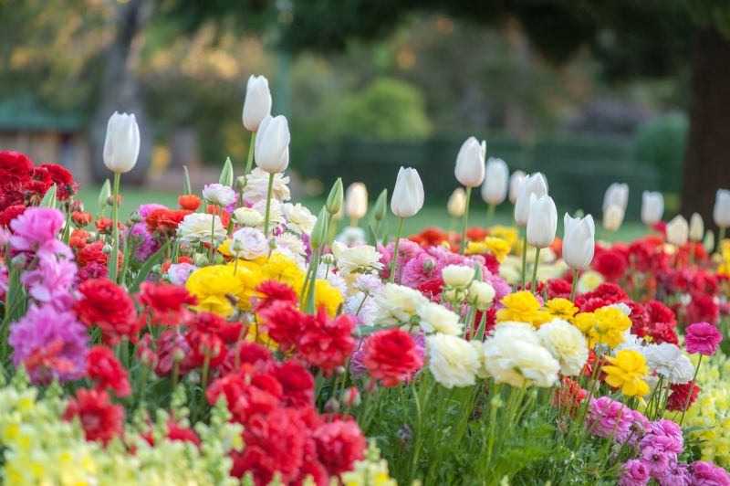 Indianapolis Gardening Service