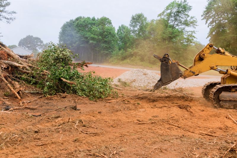 Atlanta Ground Clearing