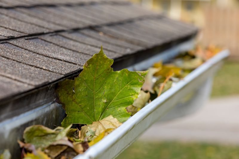 Atlanta Gutter Cleaning