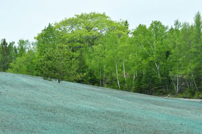 Atlanta Hydromulch Seeding