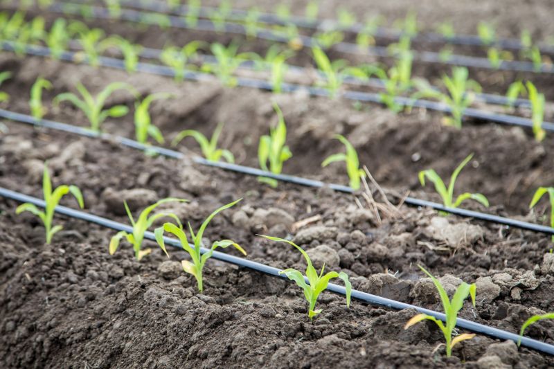 Indianapolis Irrigation System Repair