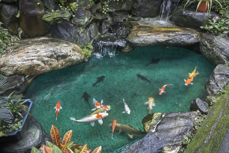 Indianapolis Koi Pond Maintenance