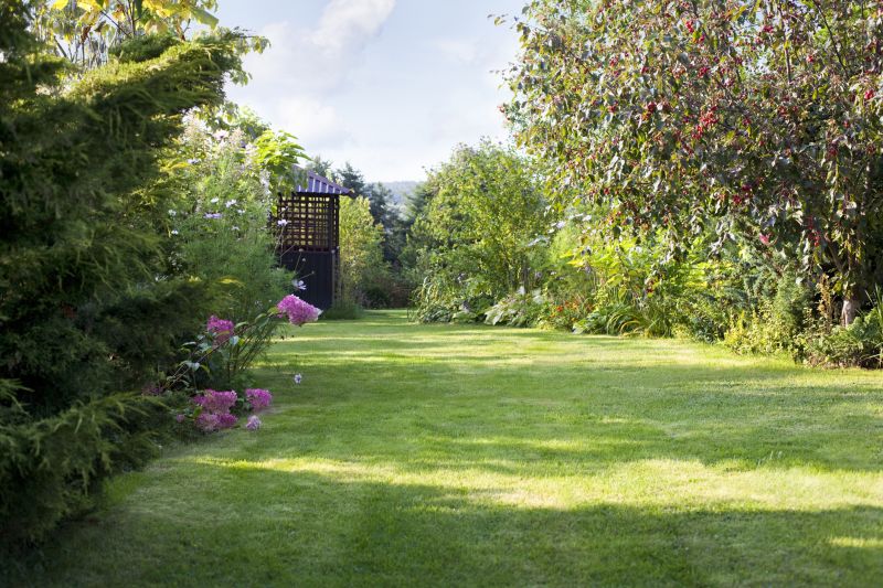 Indianapolis Landscape Repair