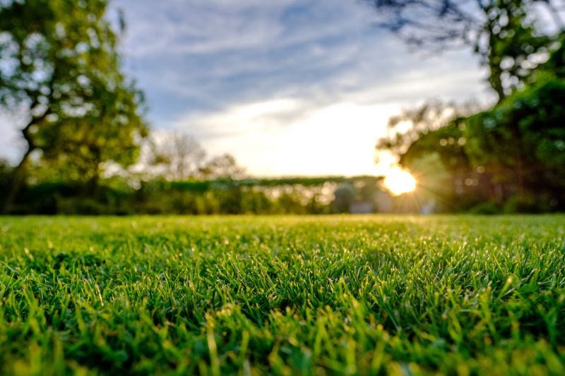 Indianapolis Lawn Top Dressing
