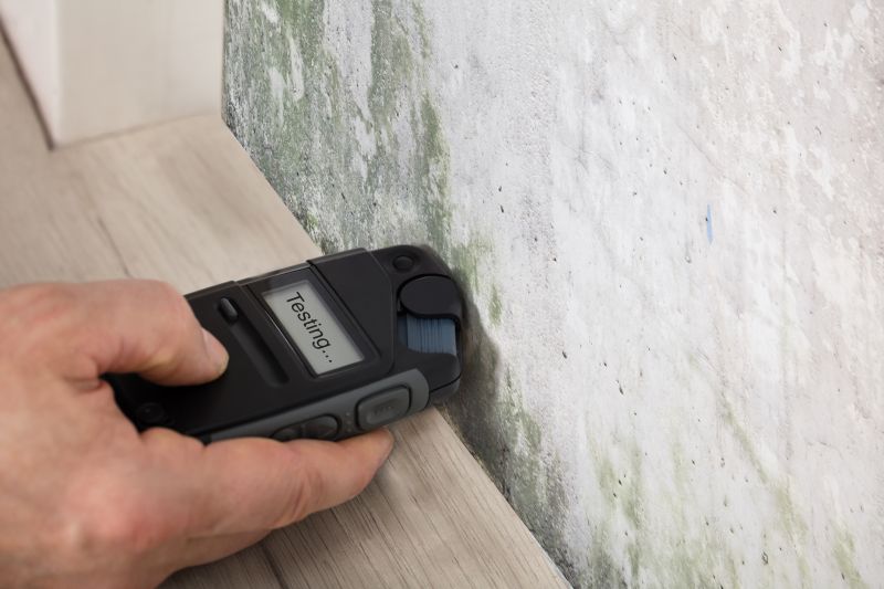 Indianapolis Mold Inspection Service