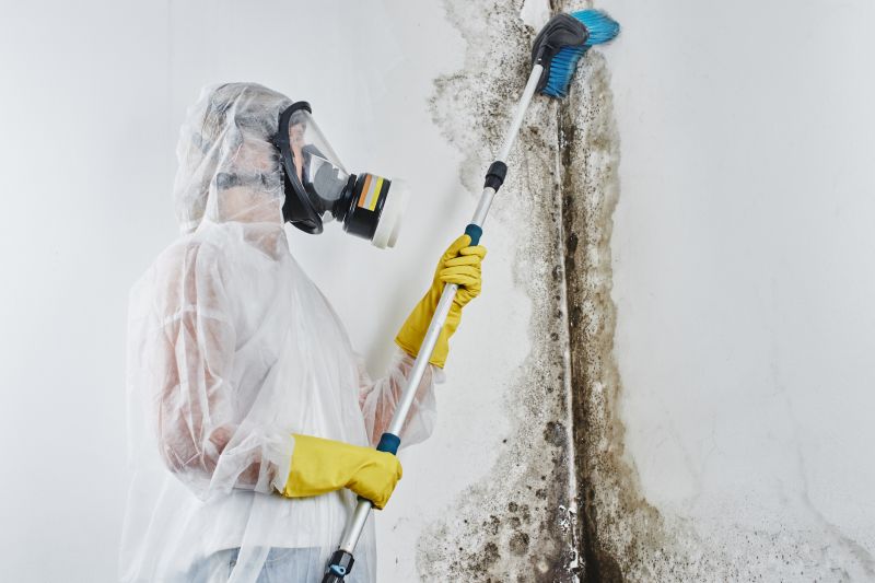 Marietta Mold Removal