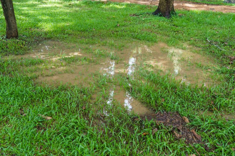 Indianapolis Muddy Yard Drainage Installation