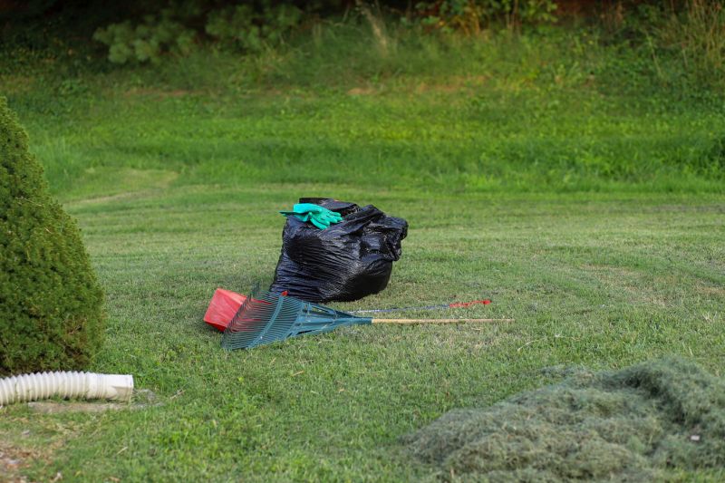 Marietta Overgrown Yard Cleanup Service