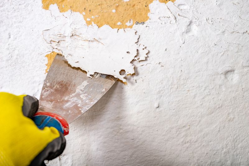 Indianapolis Paint Stripping
