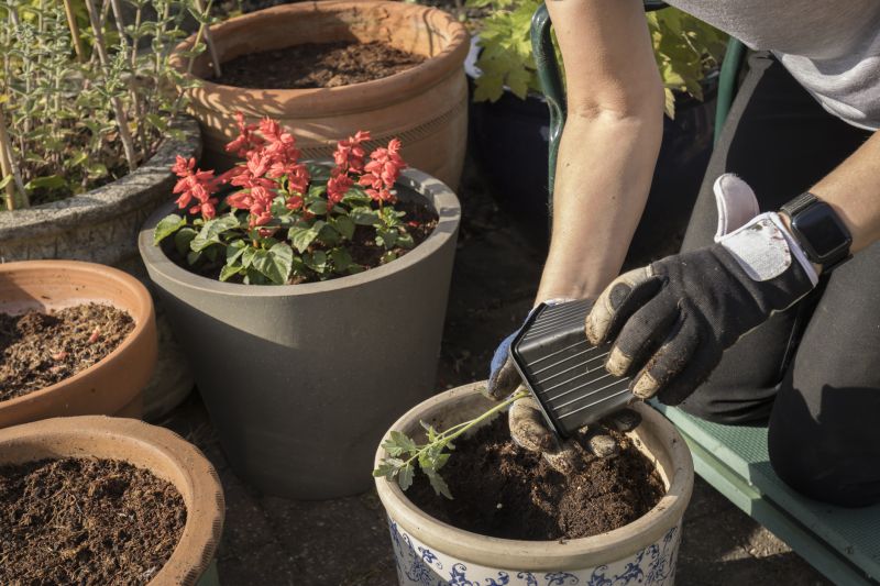Marietta Plant Repotting