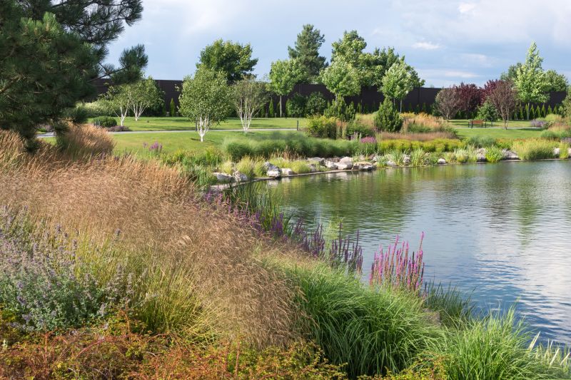 Pond Repair - Atlanta