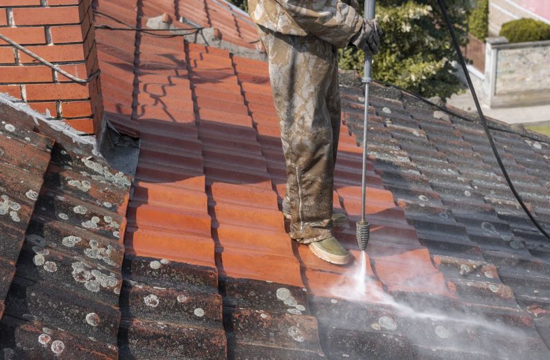 Atlanta Roof Cleaning