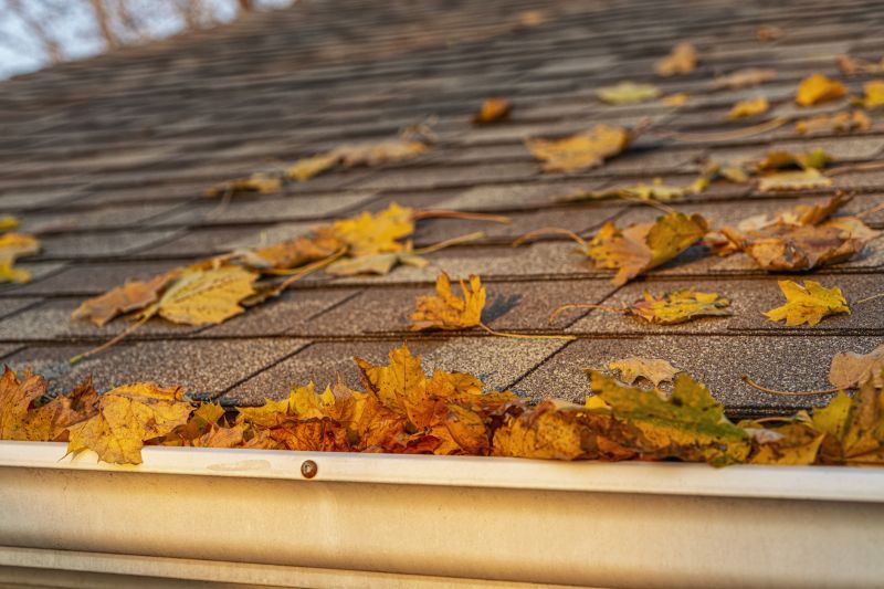 Indianapolis Roof Leaf Removal Service