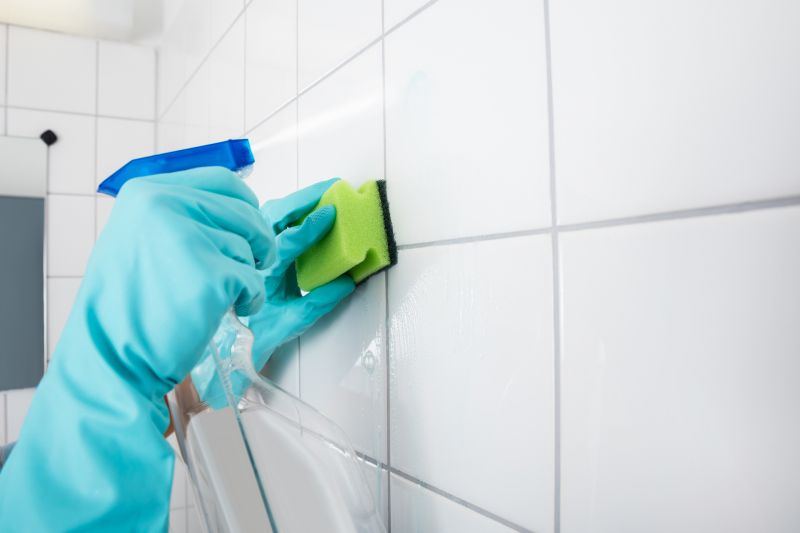 Indianapolis Shower Tile Cleaning