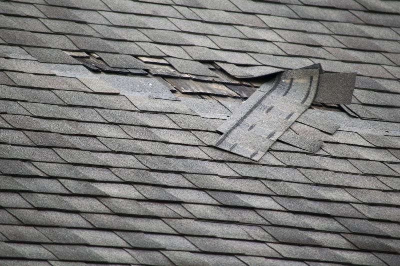 Indianapolis Small Roof Repair
