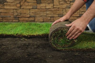 Indianapolis Sod Delivery