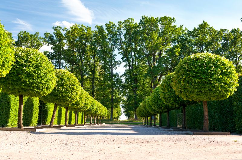 Indianapolis Topiary Pruning Service