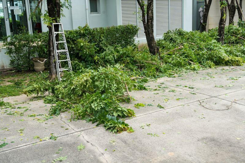 Indianapolis Tree And Shrub Trimming