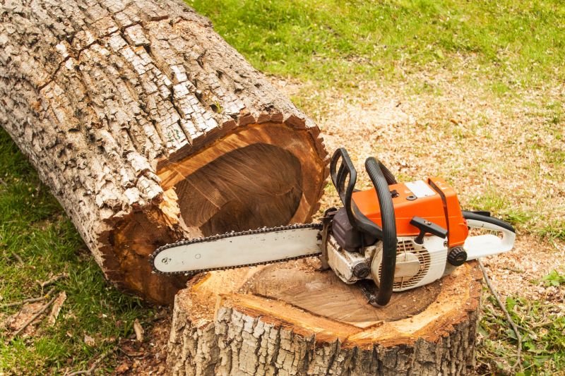 Atlanta Tree Cutting Service