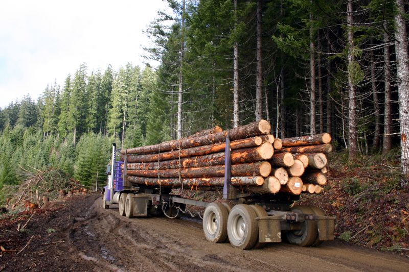 Marietta Tree Hauling