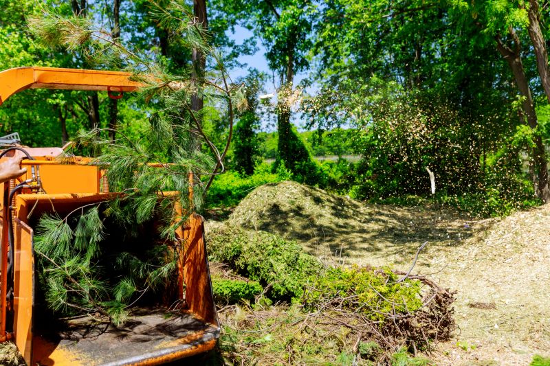 Tree Limb Chipping - Indianapolis