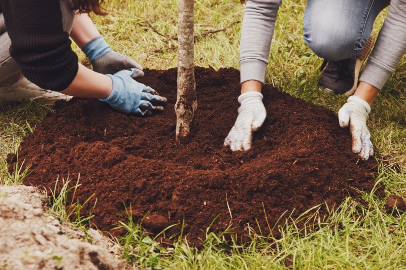Indianapolis Tree Relocation
