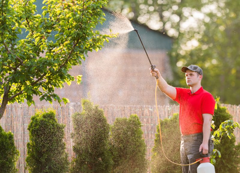 Indianapolis Tree Spraying Service