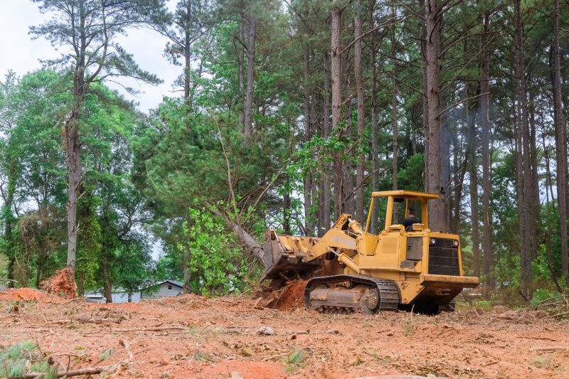 Atlanta Trees Clearing