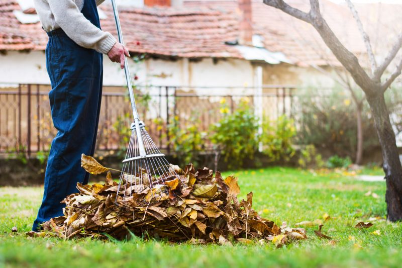 Indianapolis Yard Clean Up Service