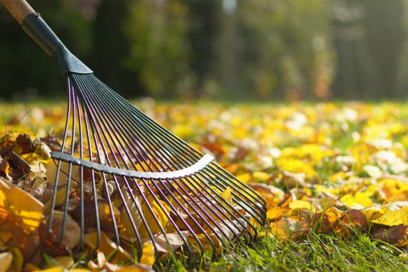 Indianapolis Yard Cleanup And Maintenance