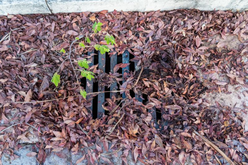 Indianapolis Yard Drain Unclogging