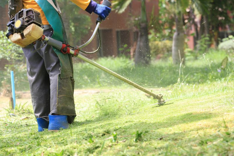 Marietta Yard Repair Service