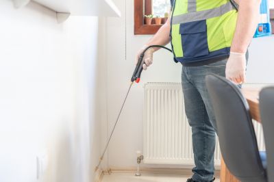 Local Ant Control Service in Mansfield, TX