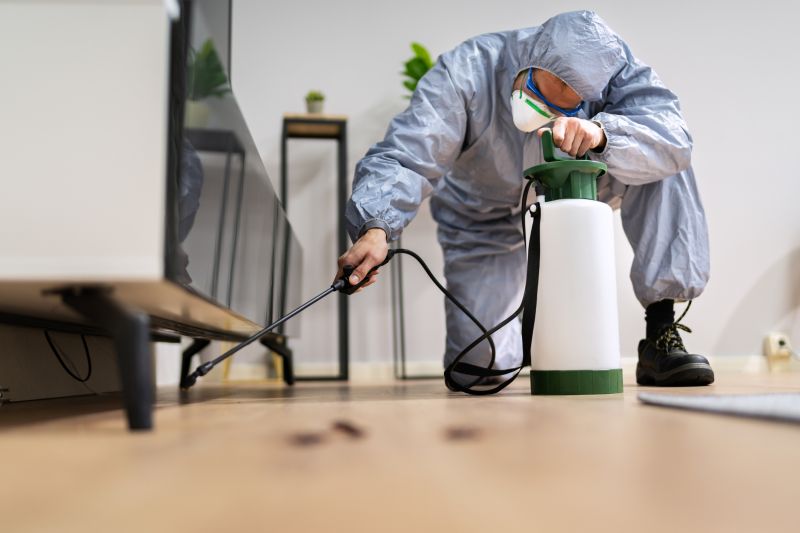 Local Ant Control Service in Spring, TX
