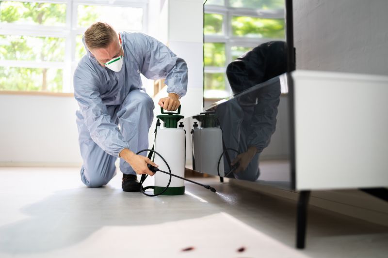 Ants Extermination Service