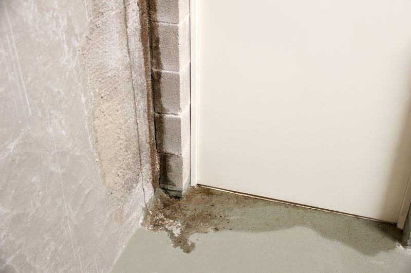 Local Basement Leak Repair in Dallas, NC