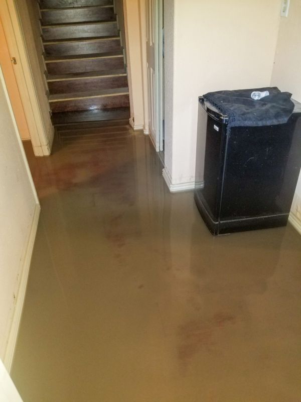 Local Basement Leak Repair in Jamestown, NC