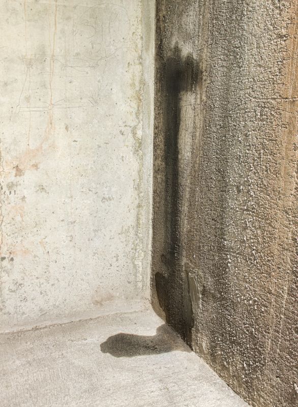 Local Basement Leak Repair in Swanton, OH
